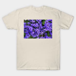 Asters T-Shirt